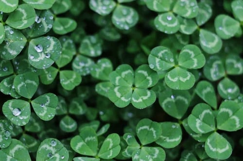 7 St. Patrick’s Day Marketing Strategies to Boost Your Ecommerce Sales