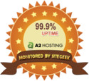 99.9% Uptime award