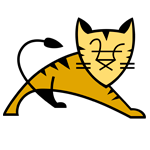 Apache Tomcat Server